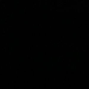 Meet your Posher, Evelyn